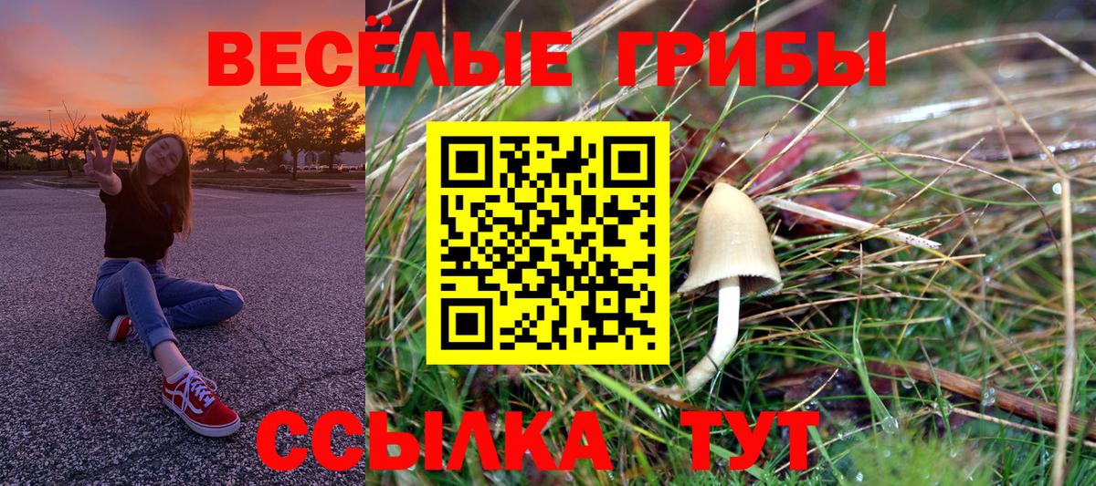 Заинск  Псилоцибиновые грибы прущие грибы  Вход с VPN 
